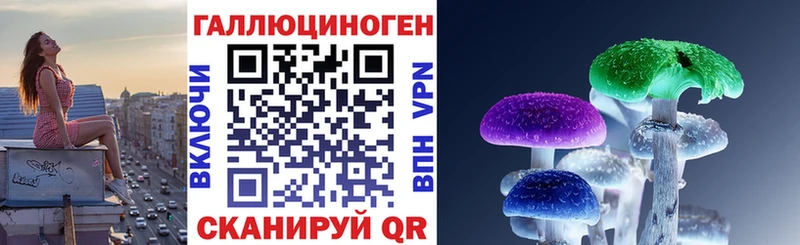Галлюциногенные грибы Psilocybe  наркошоп  Котово 